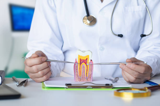 Best Emergency Root Canal Therapy in Etowah, TN
